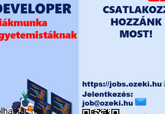 Frontend developer - Diákmunka ősztől