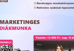 Junior online marketing asszisztens - Diákmunka ősztől