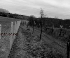 Kerítés építés országosan! Táblás kerítés, drótfonat, drótháló, vadháló, kapu